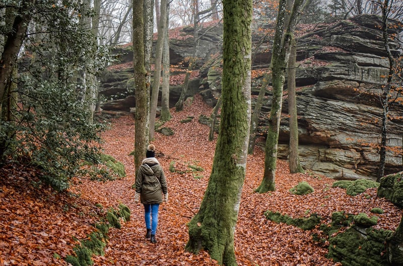 Hiking in nature